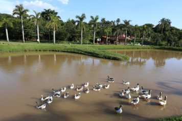 parque-das-aguas-recebe-acao-educativa-sobre-febre-maculosa-e-prevencao-de-doencas-neste-domingo