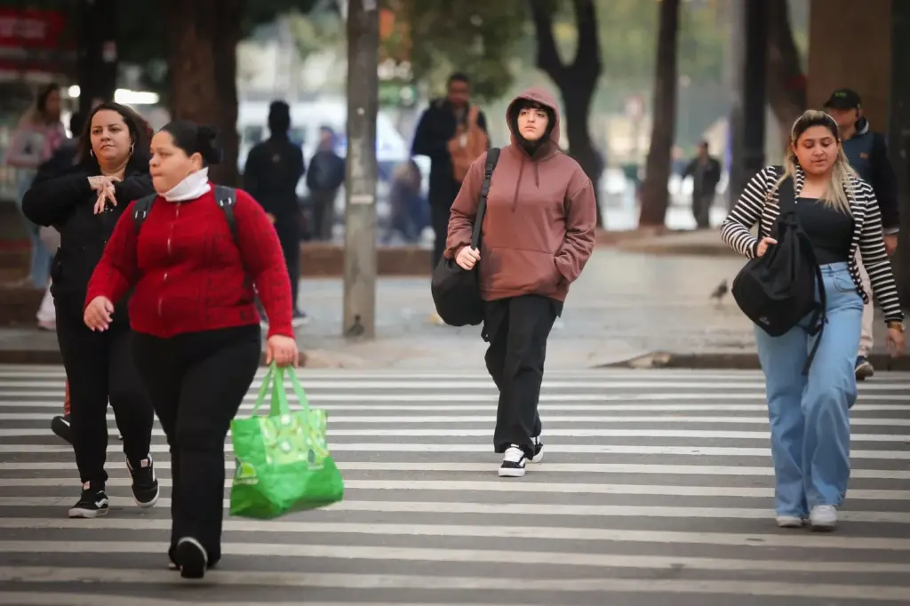 regiao-de-campinas-deve-registrar-ate-7°c-com-nova-massa-de-ar-polar