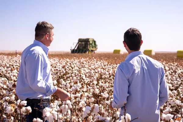 grupo-bom-jesus-completa-50-anos-com-expansao-no-agronegocio