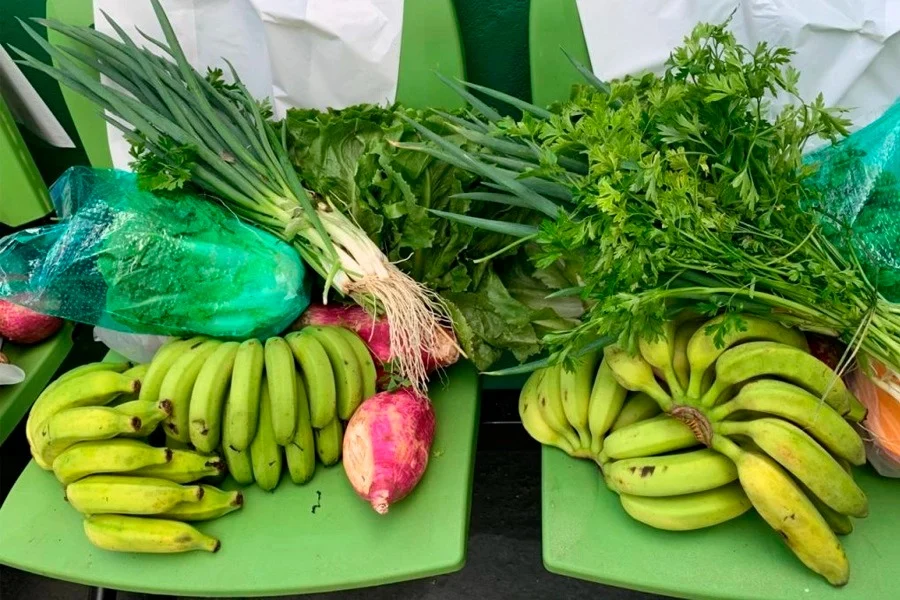 cati-inicia-6a-fase-do-programa-de-aquisicao-de-alimentos-paulista
